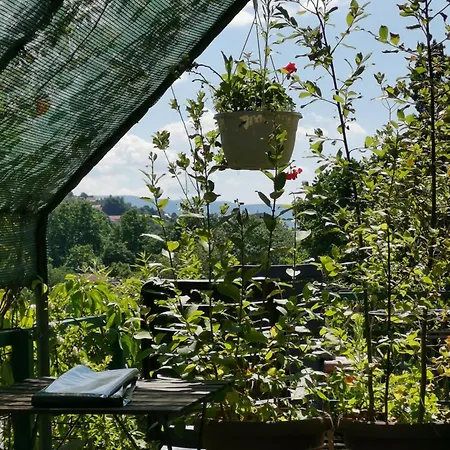 Emily * סראייבו