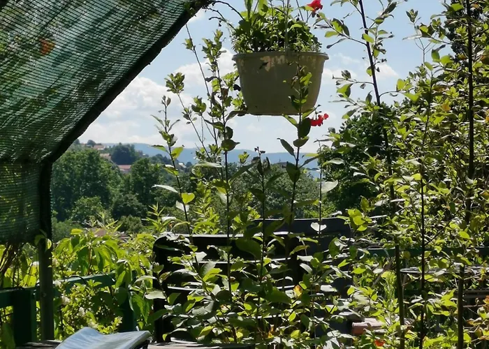 Emily * סראייבו