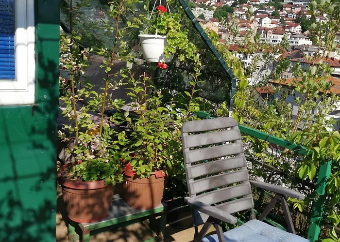 Emily * סראייבו